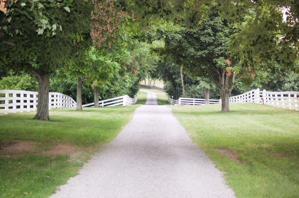 Gravel Driveway Construction in Chesterfield