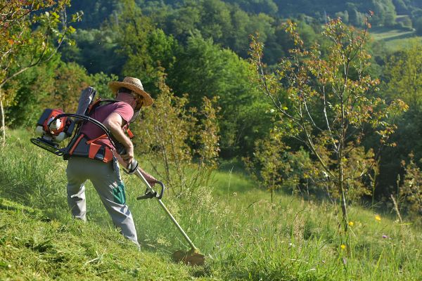 Slope Trimming in Chesterfield